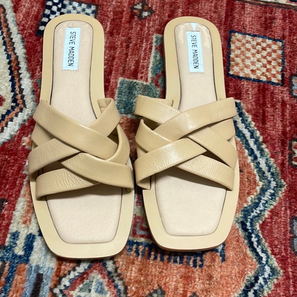 Steve Madden | Shoes | Nwot Haldy Sandal Steve Madden | Poshmark